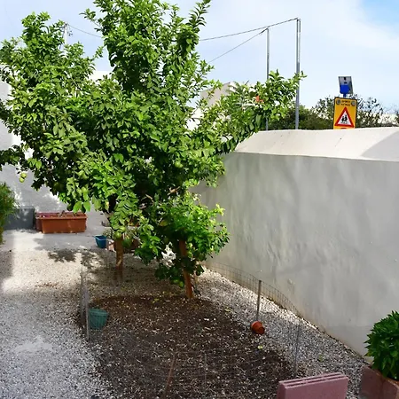 Appartement Αρχοντικό Σπίτι Στην Αίγινα Extérieur photo